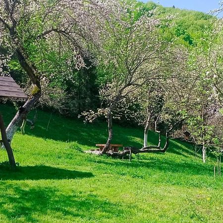 הוילה ששורי Під Горою מראה חיצוני תמונה