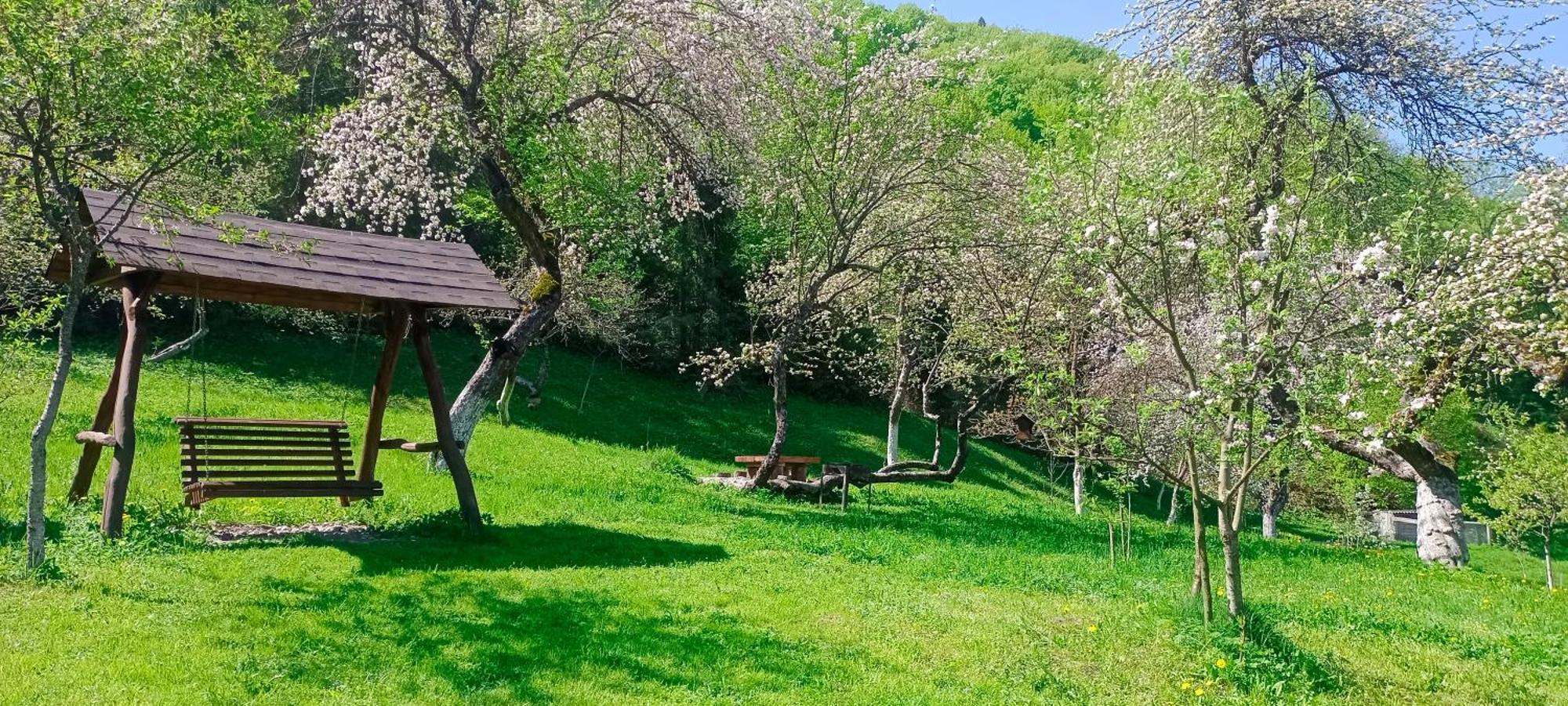 הוילה ששורי Під Горою מראה חיצוני תמונה